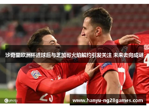 沙奇里欧洲杯进球后与芝加哥火焰解约引发关注 未来去向成谜